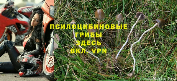 синтетический гашиш Няндома