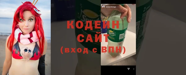прущие грибы Осташков