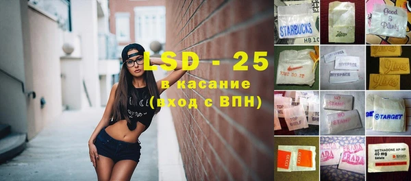 стаф Осинники