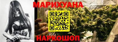 PSILOCYBIN Гатчина