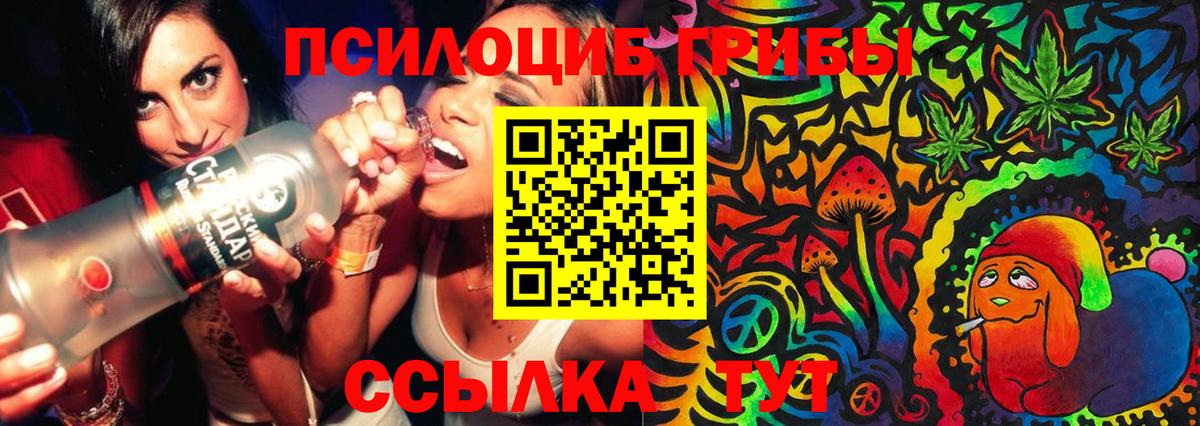 Псилоцибиновые грибы Cubensis  Вход с VPN  Псилоцибиновые грибы Psilocybine cubensis  Бугуруслан 
